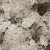 Mouldy wall