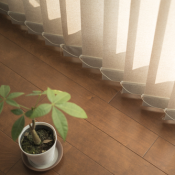 Photo of vertical blinds with a plant next to the window