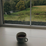 Photo of a cup of tea on a windowsill